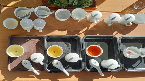 「淡水茶金之秘」茶文化體驗講座